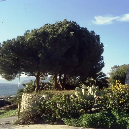 L'innamorata *